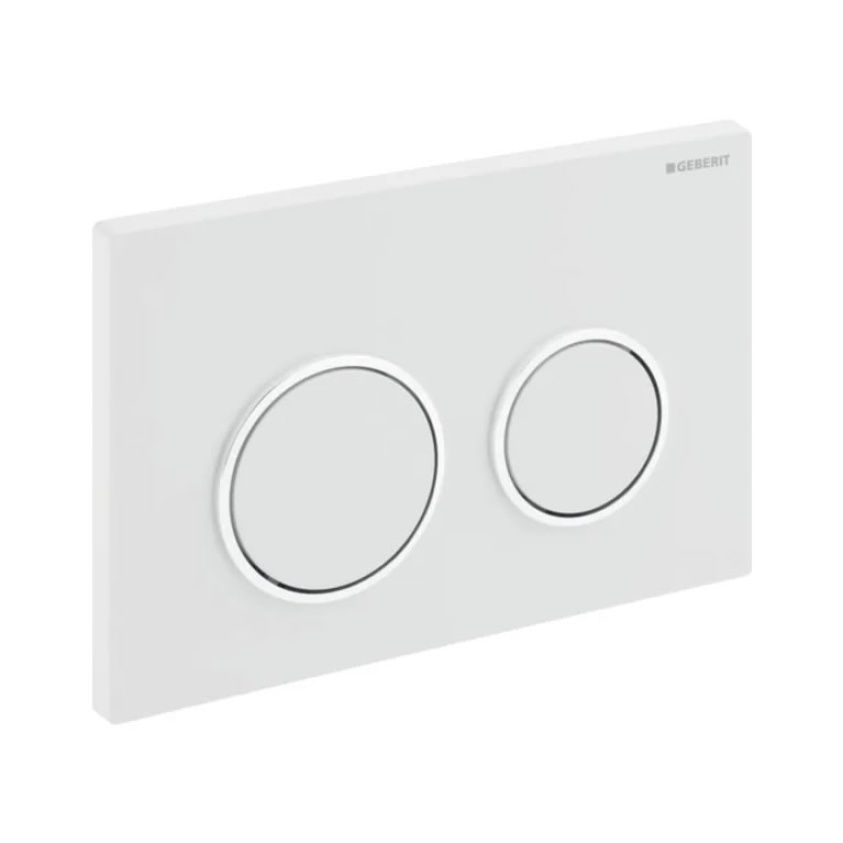 Cutout image of Geberit Omega20 Dual Flush Plate